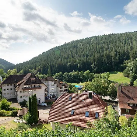 Haus Erika 2 Apartment Bad Teinach-Zavelstein