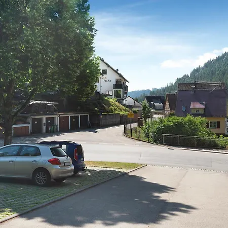 Apartment Haus Erika 2 Bad Teinach-Zavelstein